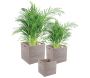 Cache-pots carrés en rotin patiné blanc (lot de 2) - AUB-5326