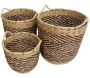 Cache-pots en jacinthe (Lot de 3) - AUB-4323