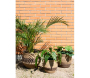 Cache-pots en jonc naturel et brun - AUBRY GASPARD