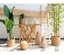 Cache-pots en jonc naturel avec anses (Lot de 3) - AUBRY GASPARD