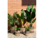 Cache-pots en jonc naturel et brun - AUBRY GASPARD