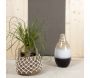 Cache-pots en jonc naturel et crochet (Lot de 2) - AUB-4273