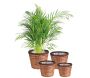 Cache-pots ronds en jacinthe (lot de 4) - AUBRY GASPARD