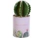 Cactus artificiels dans pots ronds en métal fantaisies (Lot de 4) - THE HOME DECO FACTORY