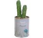 Cactus artificiels dans pots ronds en métal fantaisies (Lot de 4) - 5