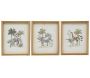 Cadre décorarif Safari 20 x 25 cm (Lot de 3)