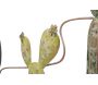 Cadre en métal Cactus 90 x 2.5 x 64 cm - 56,90