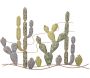 Cadre en métal Cactus 90 x 2.5 x 64 cm - 6
