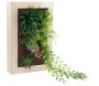 Cadre mural avec plante succulente artificielle 20 x 30 cm - SIF-0494