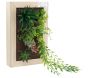 Cadre mural avec plante succulente artificielle 20 x 30 cm - SIL