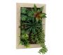 Cadre mural avec plante succulente artificielle 20 x 30 cm