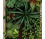 Cadre mural avec plante succulente artificielle 20 x 30 cm - 5