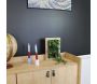 Cadre mural avec plante succulente artificielle 20 x 30 cm - 6