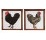 Cadre poule en bois et grillage