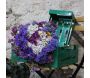 Cagette en métal coloré (Lot de 2) - 5