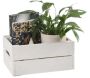 Caisse de rangement en pin petit modèle 31 x 23 x 15 cm - PIN-0138