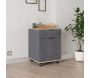 Caisson de rangement sur roulettes Ria - 74,90