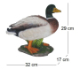 Canard colvert sur roche en résine - VID-0125