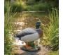Canard colvert sur roche en résine - VIVID ARTS