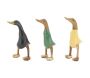 Canards en teck coloris assortis
