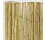 Canisse en bambou - AUB-5574