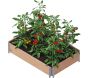 Carré potager Gardenbox 120 x 80 cm