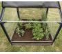 Carré potager en mélèze avec serre Siberian - 459