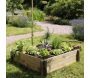Carré potager à poser 9 cases Cardon - JARDIPOLYS