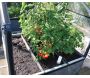Carré potager avec serre Basic air - 7