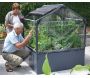Carré potager avec serre Basic air - 539