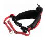 Ceinture canicross jogging Moov - 34,90