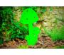 Champignon déco en métal vert - 