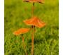 Champignon sur pic en métal rouillé - 7