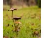 Champignon sur pic en métal rouillé - 8