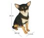 Chihuahua assis en résine 24 cm - 