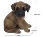 Chiot dogue allemand assis en résine - 9