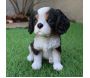 Chiot king charles assis en résine 15 cm - 28,90