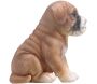 Chiot en résine Boxer 12x14x15 cm - IMH-0450