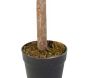 Citronnier artificiel en pot 120 cm - 59,90