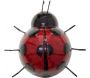 Coccinelles décoratives en métal (Lot de 3) - 32,90