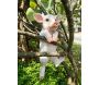 Cochon sur bord en résine 49.5 x 21 x 25 cm - Farmwood animals