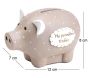 Cochon tirelire Ma première tirelire - AMA-0975