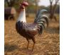 Coq métal laqué rouge et blanc - AUBRY GASPARD