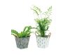 Corbeille carrée en métal cactus - AUBRY GASPARD