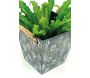 Corbeille carrée en métal cactus - 21,90