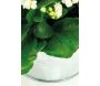 Corbeille en zinc anses en bois - AUB-6295