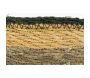 Corbeilles ovales en jonc brun - 14,90