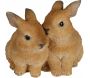 Couple de lapin en résine Tendresse 15 cm