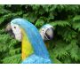 Couple de perroquets en résine - TEX-0111