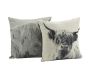 Coussin Vache en coton (Lot de 2) - 6